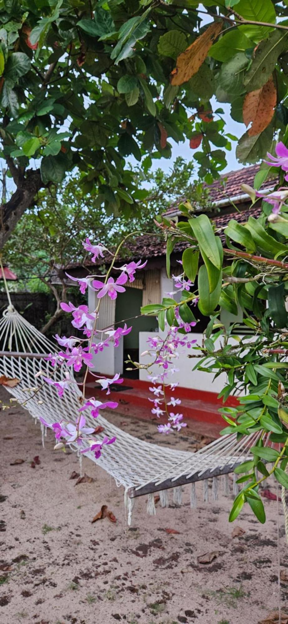 Angeo Beach House Alappuzha Luaran gambar